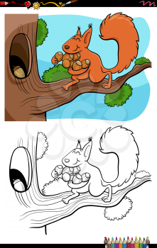 Cartoon illustration of squirrel carrying acorns to the hollow coloring book page