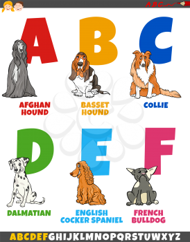 Cartoon Illustration of Colorful Alphabet Set from Letter A to F with Funny Purebred Dogs Animal Characters