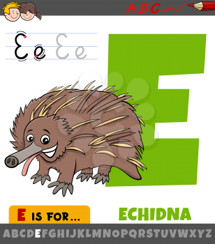 Educational cartoon illustration of letter E from alphabet with echidna animal for children 