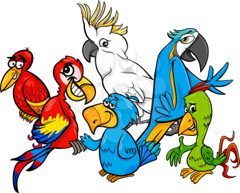 Cartoon Illustration of Colorful Parrots Birds Animal Characters Group