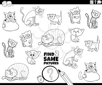 Black and White Cartoon Illustration of Find Two Same Pictures Educational Task for Children with Funny Cats and Kittens Animal Characters Coloring Book Page