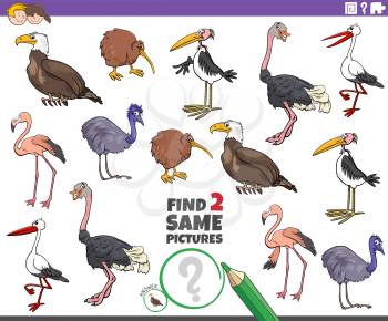 Cartoon Illustration of Find Two Same Pictures Educational Task for Children with Birds Animal Characters
