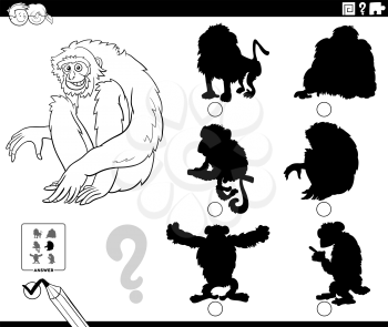 Black and white cartoon illustration of finding the right shadow to the picture educational game for children with gibbon ape animal character coloring book page