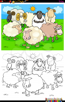 Cartoon Illustration of Funny Sheep Animal Characters Coloring Book Activity