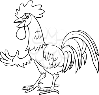 Black and White Cartoon Illustration of Funny Rooster Farm Bird Animal Character Coloring Book Page
