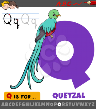 Educational cartoon illustration of letter Q from alphabet with quetzal bird animal character symbol for children 