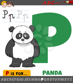 Educational cartoon illustration of letter P from alphabet with panda animal character for children 