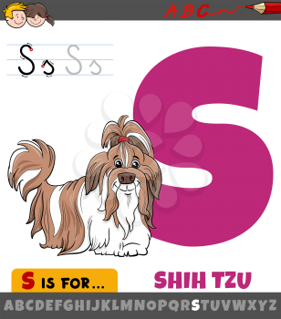Educational cartoon illustration of letter S from alphabet with Shih Tzu purebred dog animal character for children 