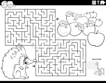 Black and white cartoon illustration of educational maze puzzle game for children with hedgehog animal character and apples coloring book page