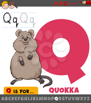 Educational cartoon illustration of letter Q from alphabet with quokka animal character for children 