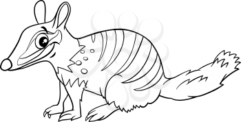 Black and white cartoon illustration of funny numbat comic animal character coloring book page