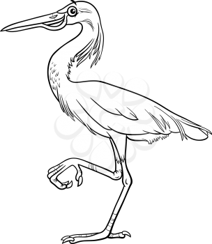 Black and white cartoon illustration of funny egret bird animal character coloring book page