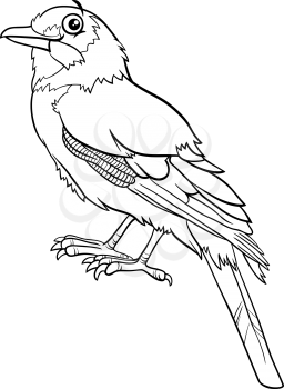 Black and white cartoon illustration of jay bird comic animal character coloring book page