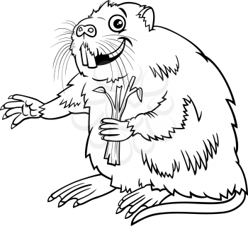 Black and white cartoon illustration of nutria or coypu comic animal character coloring book page