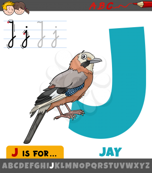 Educational cartoon illustration of letter J from alphabet with jay bird animal character