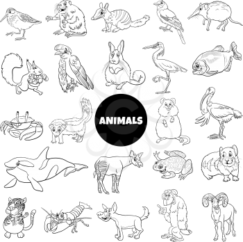 Black and white cartoon illustration of funny wild animal species characters big set