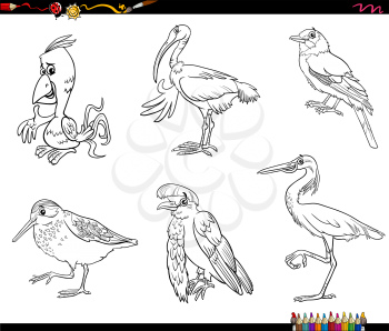 Black and white cartoon illustration of birds animals comic characters set coloring book page