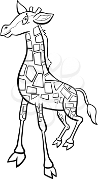 Black and white cartoon illustration of cute baby giraffe comic animal character coloring book page