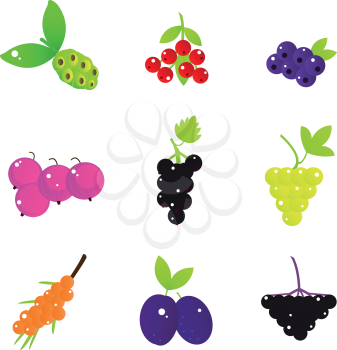 Royalty Free Clipart Image of Fruit