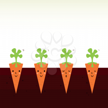 Sweet Carrots growing in dark soil. Vector Illustration
