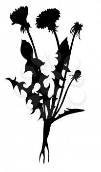 Royalty Free Clipart Image of Dandelion Silhouettes
