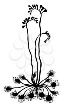 Royalty Free Clipart Image of a Flower Silhouette