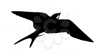Royalty Free Clipart Image of a Swallow