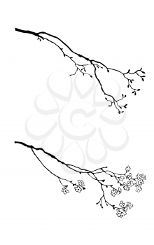 Royalty Free Clipart Image of Tree Branches