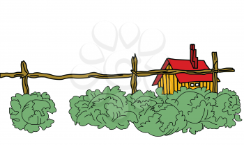 Royalty Free Clipart Image of Cabbage by a Farmhouse