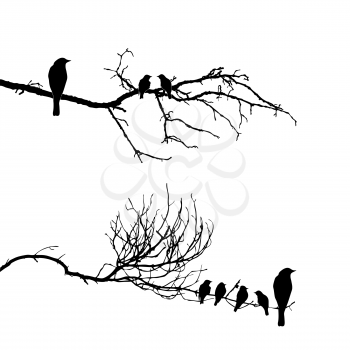 Royalty Free Clipart Image of Birds on a Branch