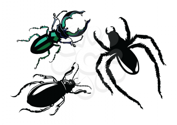 Royalty Free Clipart Image of Bugs