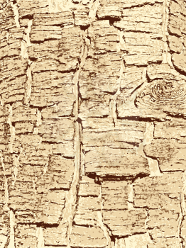 Royalty Free Clipart Image of a Wood Background