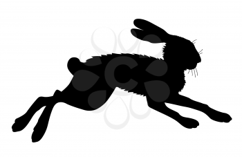 Royalty Free Clipart Image of a Hare