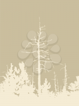 Royalty Free Clipart Image of a Forest