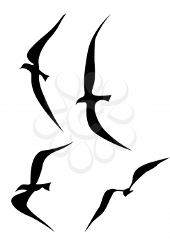 Royalty Free Clipart Image of Flying Birds
