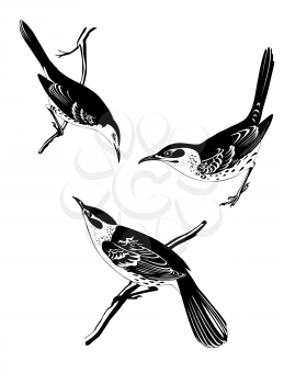 Royalty Free Clipart Image of a Birds 