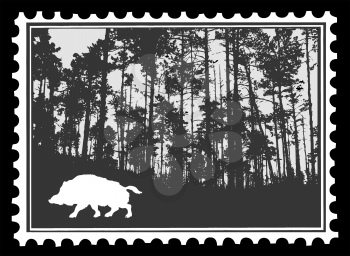 Royalty Free Clipart Image of a Wild Boar Postage Stamp