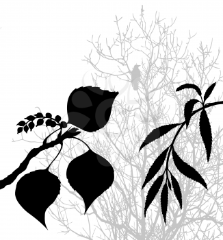 Royalty Free Clipart Image of Plant Silhouettes