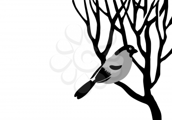 Royalty Free Clipart Image of a Bullfinch