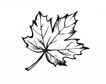 Royalty Free Clipart Image of a Maple Leaf