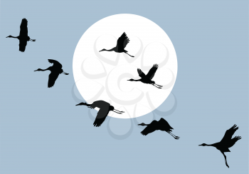 Royalty Free Clipart Image of Flying Cranes