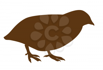 Royalty Free Clipart Image of a Quail