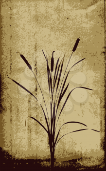 Royalty Free Clipart Image of Bulrushes