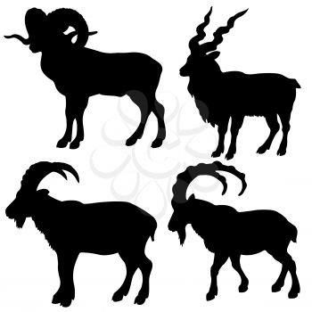 Royalty Free Clipart Image of Mountain Rams