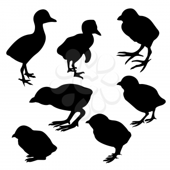 Royalty Free Clipart Image of Baby Birds