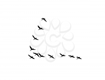 Royalty Free Clipart Image of a Flock of Birds