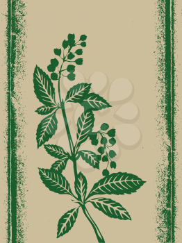 Royalty Free Clipart Image of a Plant Background