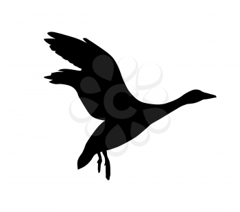 Royalty Free Clipart Image of a Goose