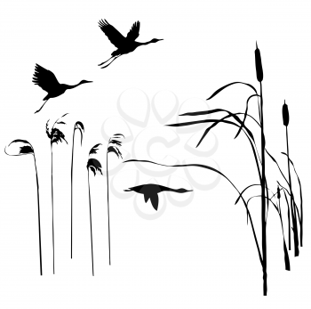 Royalty Free Clipart Image of Birds Flying