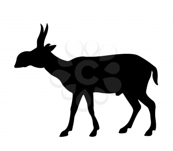 Royalty Free Clipart Image of a Saiga Antelope